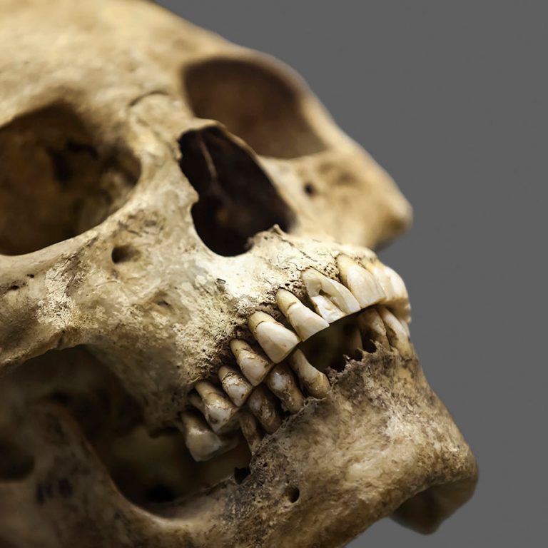 research on human remains