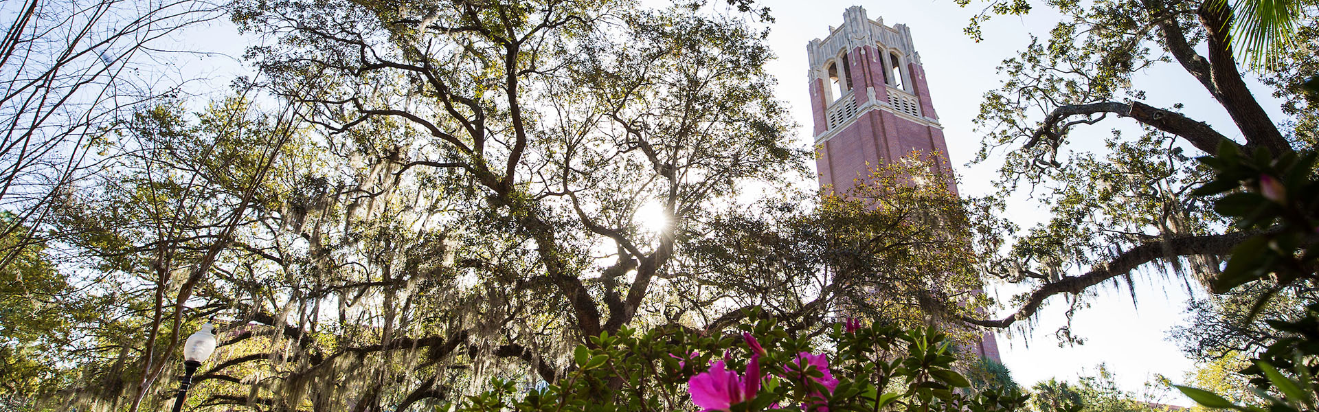 University of Florida's iconic Century Tower surrounded by spring foliage.