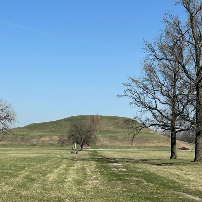 picture of a field