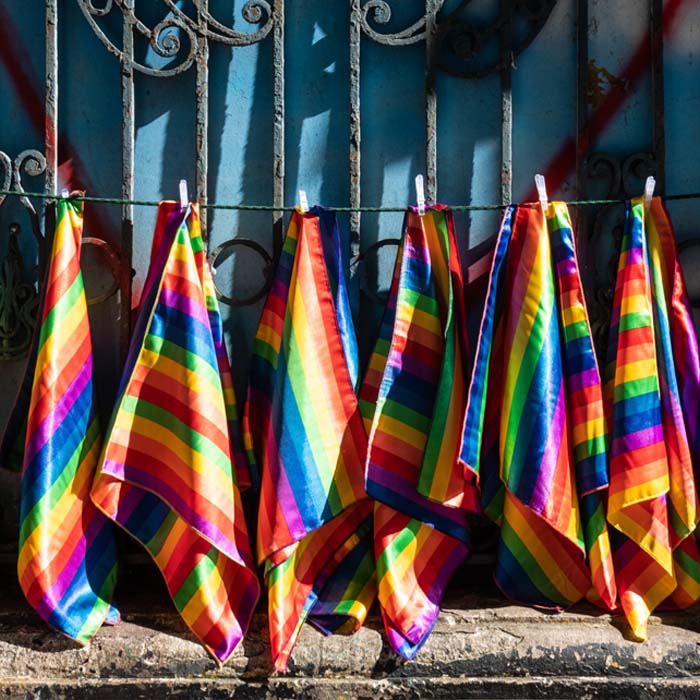 picture of rainbow flags