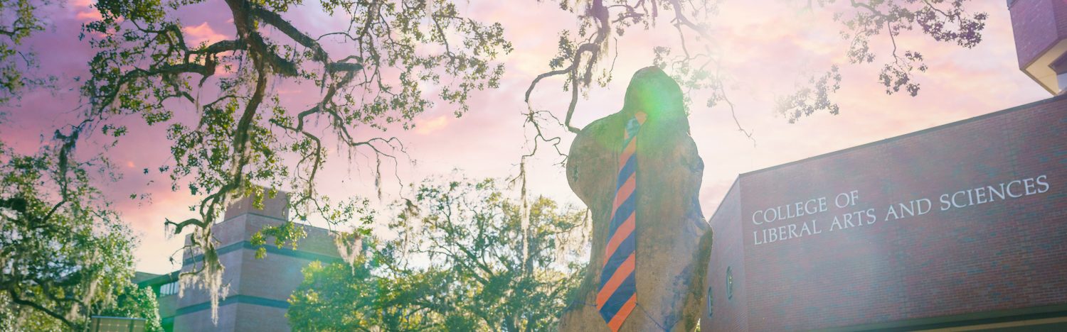 coastal landscape with green mountains